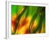 The Jungle-Ursula Abresch-Framed Photographic Print