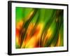 The Jungle-Ursula Abresch-Framed Photographic Print