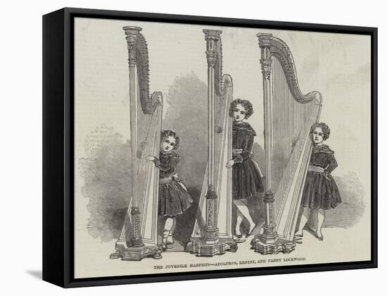 The Juvenile Harpists, Adolphus, Ernest, and Fanny Lockwood-null-Framed Stretched Canvas