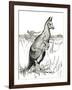 'The Kangaroo', 1912-Charles Robinson-Framed Giclee Print