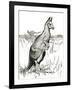 'The Kangaroo', 1912-Charles Robinson-Framed Giclee Print