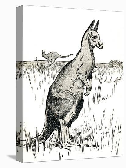 'The Kangaroo', 1912-Charles Robinson-Stretched Canvas