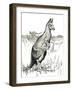 'The Kangaroo', 1912-Charles Robinson-Framed Giclee Print