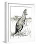 'The Kangaroo', 1912-Charles Robinson-Framed Giclee Print