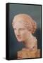 The Kauffmann Head, Head of Aphrodite, Copy of the Aphrodite of Cnidus by Praxiteles (Fl.375-40 BC)-Praxiteles-Framed Stretched Canvas