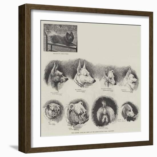 The Kennel Club Dog Show at the Agricultural Hall, Islington-null-Framed Giclee Print