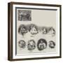 The Kennel Club Dog Show at the Agricultural Hall, Islington-null-Framed Giclee Print