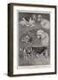 The Kennel Club Dog Show at the Crystal Palace-Cecil Aldin-Framed Giclee Print