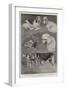 The Kennel Club Dog Show at the Crystal Palace-Cecil Aldin-Framed Giclee Print