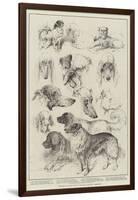 The Kennel Club Dog Show at the Royal Aquarium, Prize Dogs-Harrison William Weir-Framed Giclee Print