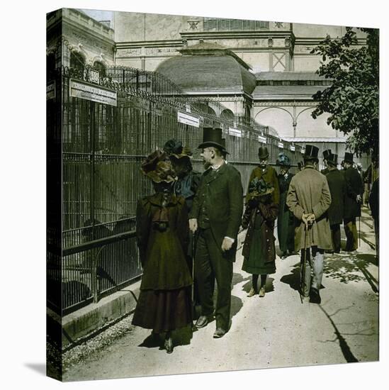 The Kennels of the Jardin D'Acclimatation, Paris (XVIth Arrondissement), Circa 1890-1895-Leon, Levy et Fils-Stretched Canvas