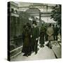 The Kennels of the Jardin D'Acclimatation, Paris (XVIth Arrondissement), Circa 1890-1895-Leon, Levy et Fils-Stretched Canvas