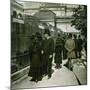 The Kennels of the Jardin D'Acclimatation, Paris (XVIth Arrondissement), Circa 1890-1895-Leon, Levy et Fils-Mounted Photographic Print