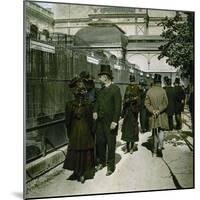 The Kennels of the Jardin D'Acclimatation, Paris (XVIth Arrondissement), Circa 1890-1895-Leon, Levy et Fils-Mounted Photographic Print