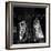 The Kessler Twins Dancing at Studio Uno-Marisa Rastellini-Framed Photographic Print