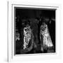 The Kessler Twins Dancing at Studio Uno-Marisa Rastellini-Framed Photographic Print