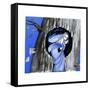 The Keyhole in the Tree Trunk - Jack & Jill-Ann Eshner-Framed Stretched Canvas