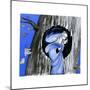 The Keyhole in the Tree Trunk - Jack & Jill-Ann Eshner-Mounted Giclee Print