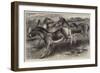 The Kiang, or Wild Horse of Thibet, Equus Kiang-null-Framed Giclee Print