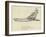 The Kicking Kangaroo-Edward Lear-Framed Giclee Print