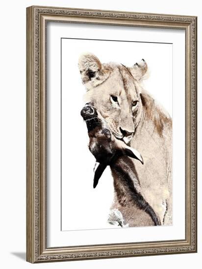 The Kill. A Lioness with a Blue Wildebeest Calf, Serengeti National Park, East Africa-James Hager-Framed Photographic Print