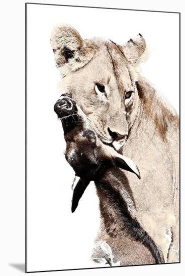 The Kill. A Lioness with a Blue Wildebeest Calf, Serengeti National Park, East Africa-James Hager-Mounted Photographic Print