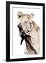 The Kill. A Lioness with a Blue Wildebeest Calf, Serengeti National Park, East Africa-James Hager-Framed Photographic Print