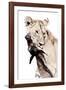 The Kill. A Lioness with a Blue Wildebeest Calf, Serengeti National Park, East Africa-James Hager-Framed Photographic Print