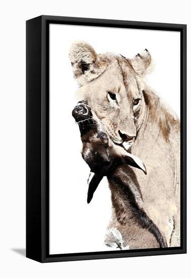 The Kill. A Lioness with a Blue Wildebeest Calf, Serengeti National Park, East Africa-James Hager-Framed Stretched Canvas