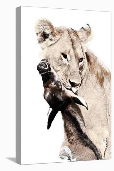 The Kill. A Lioness with a Blue Wildebeest Calf, Serengeti National Park, East Africa-James Hager-Stretched Canvas