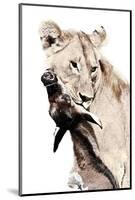 The Kill. A Lioness with a Blue Wildebeest Calf, Serengeti National Park, East Africa-James Hager-Mounted Photographic Print