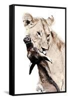 The Kill. A Lioness with a Blue Wildebeest Calf, Serengeti National Park, East Africa-James Hager-Framed Stretched Canvas