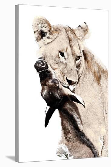 The Kill. A Lioness with a Blue Wildebeest Calf, Serengeti National Park, East Africa-James Hager-Stretched Canvas
