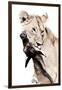 The Kill. A Lioness with a Blue Wildebeest Calf, Serengeti National Park, East Africa-James Hager-Framed Photographic Print