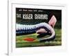 The Killer Shrews - 1959 I-null-Framed Giclee Print