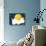 The Kind Moon on a Cloud-Liusa-Stretched Canvas displayed on a wall