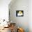 The Kind Moon on a Cloud-Liusa-Framed Stretched Canvas displayed on a wall