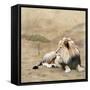 The King 1A-Ata Alishahi-Framed Stretched Canvas