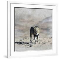 The King 2A-Ata Alishahi-Framed Giclee Print