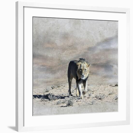 The King 2A-Ata Alishahi-Framed Giclee Print