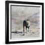 The King 2A-Ata Alishahi-Framed Giclee Print