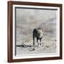 The King 2A-Ata Alishahi-Framed Giclee Print