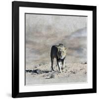 The King 2A-Ata Alishahi-Framed Giclee Print