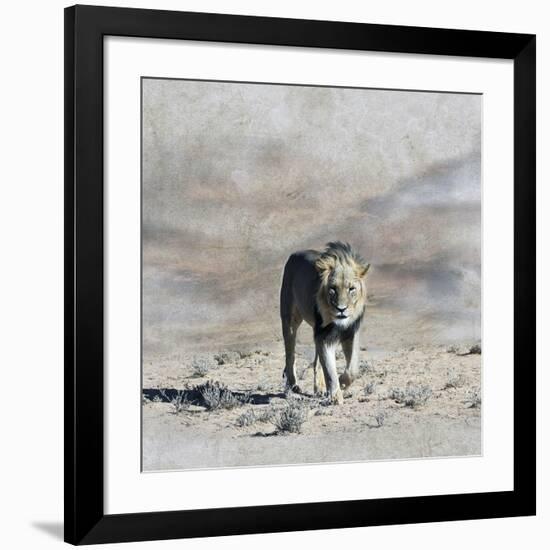 The King 2A-Ata Alishahi-Framed Giclee Print