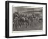 The King at the Shire Horse Show at the Agricultural Hall, 27 February-G.S. Amato-Framed Giclee Print