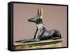 The King in the Form of the God Anubis, from the Tomb of Tutankhamun, Thebes, Egypt-Robert Harding-Framed Stretched Canvas