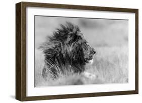 The king is alone-Massimo Mei-Framed Art Print