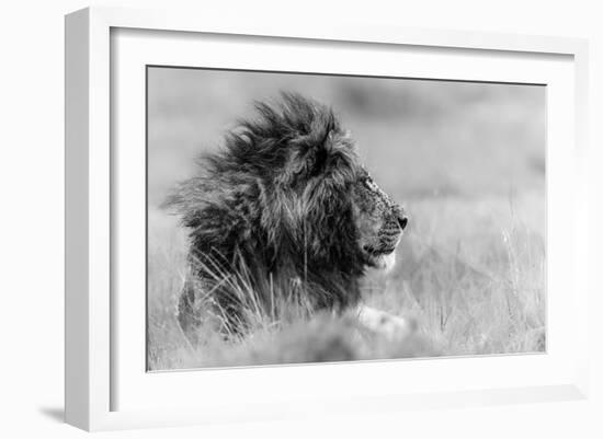 The king is alone-Massimo Mei-Framed Art Print