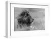 The King Is Alone-Massimo Mei-Framed Photographic Print