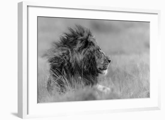 The King Is Alone-Massimo Mei-Framed Photographic Print